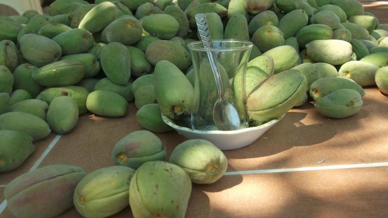 &Ccedil;ağla meyvesinin faydaları nelerdir? İşte doğal probiyotik kaynağı...