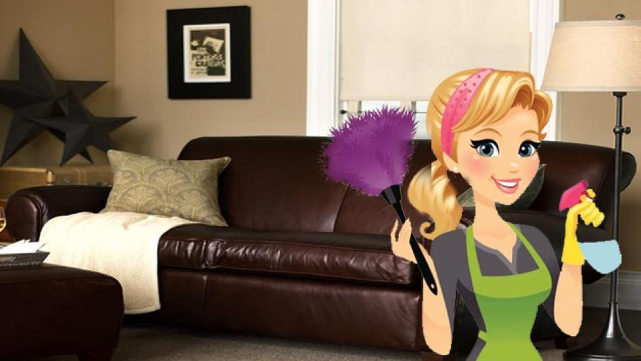 Deri koltuk bakımı ve temizliği