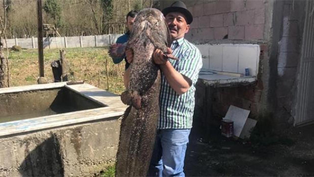 G&ouml;renler şaşkınlığını gizleyemedi! İlk kez b&ouml;ylesini yakaladı