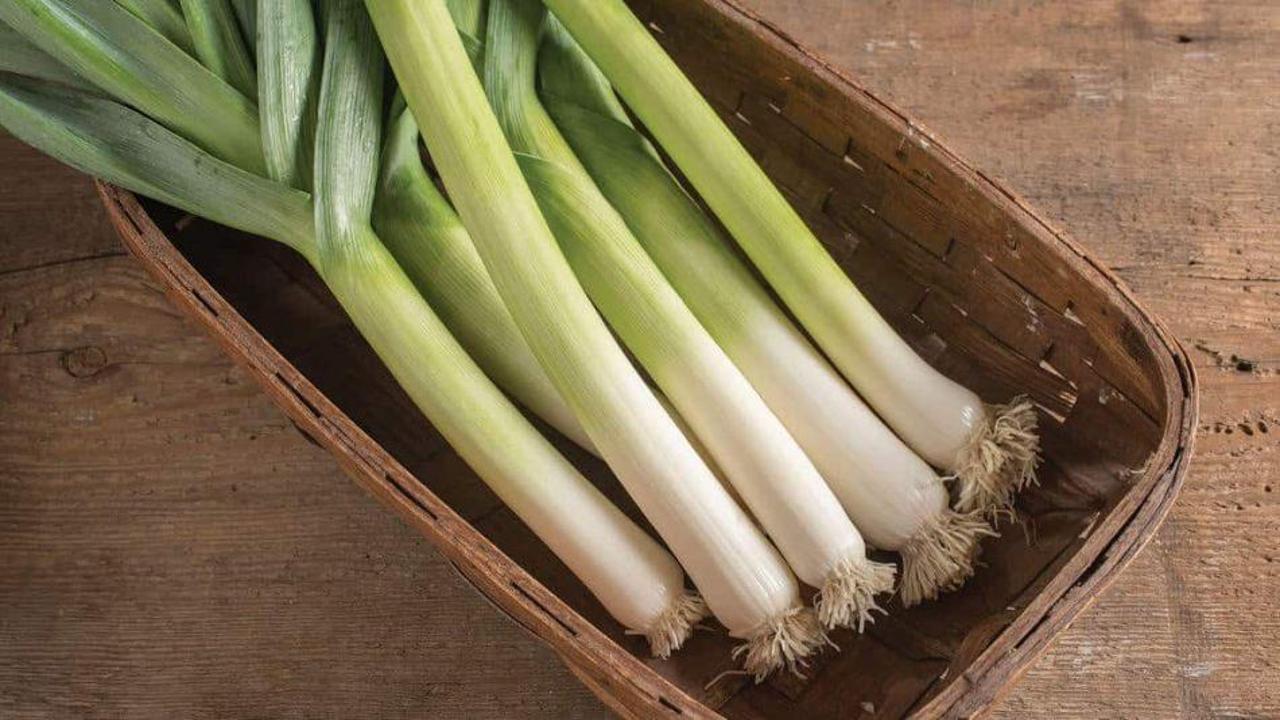 Pırasanın faydaları nelerdir? Pırasa hangi hastalıklara iyi gelir?
