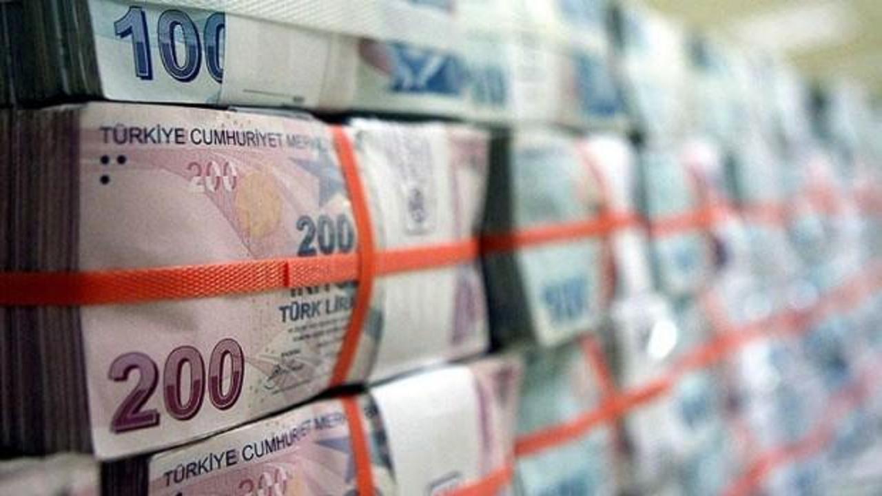 Türkiye Kalkınma ve Yatırım Bankası'ndan VDMK ihracı