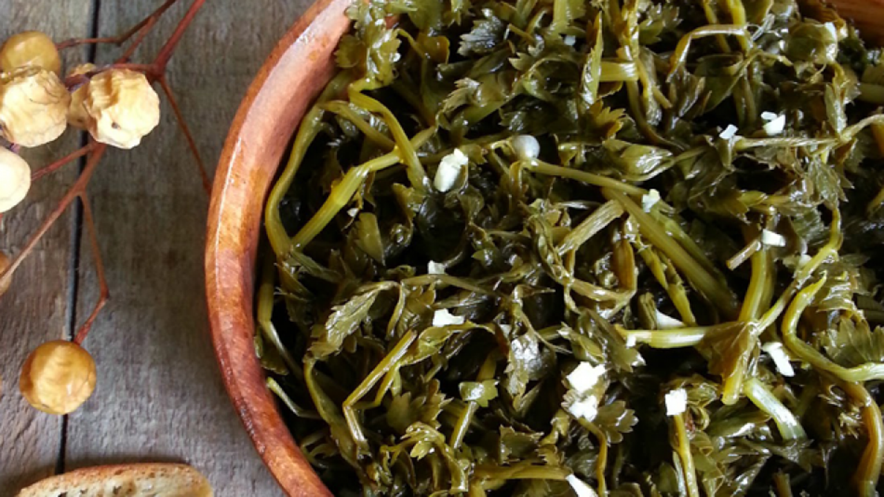 Kazayağı otunun faydaları nelerdir? Yoğurtla beraber t&uuml;ketildiğinde...