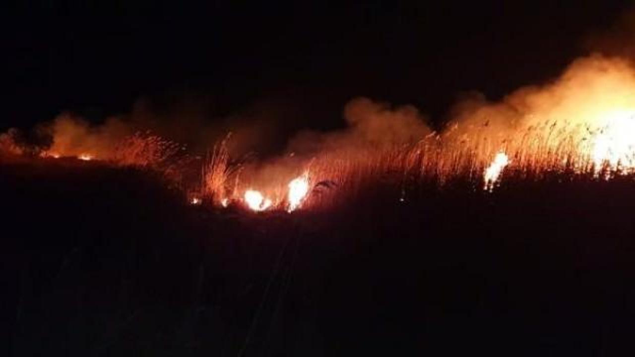 İznik Gölü'nde sazlık alanda yangın