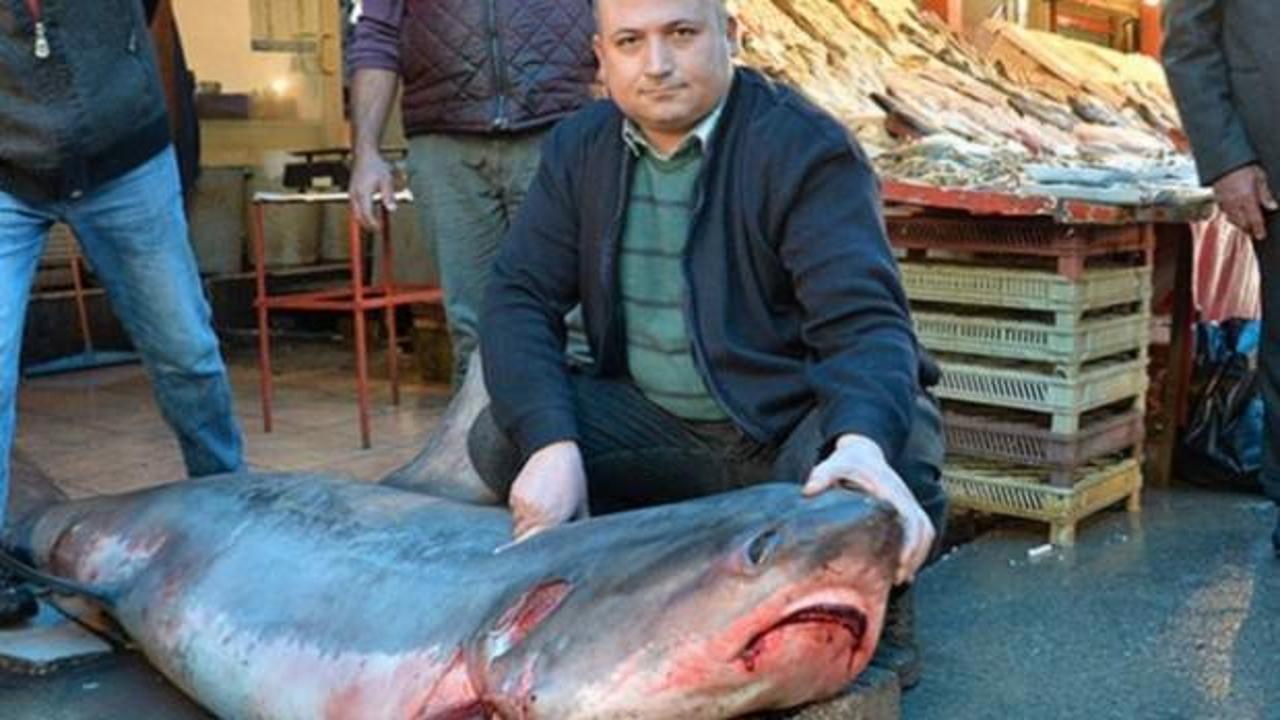 K&ouml;pekbalığını yakalayıp sergilemişti! Cezası belli oldu 