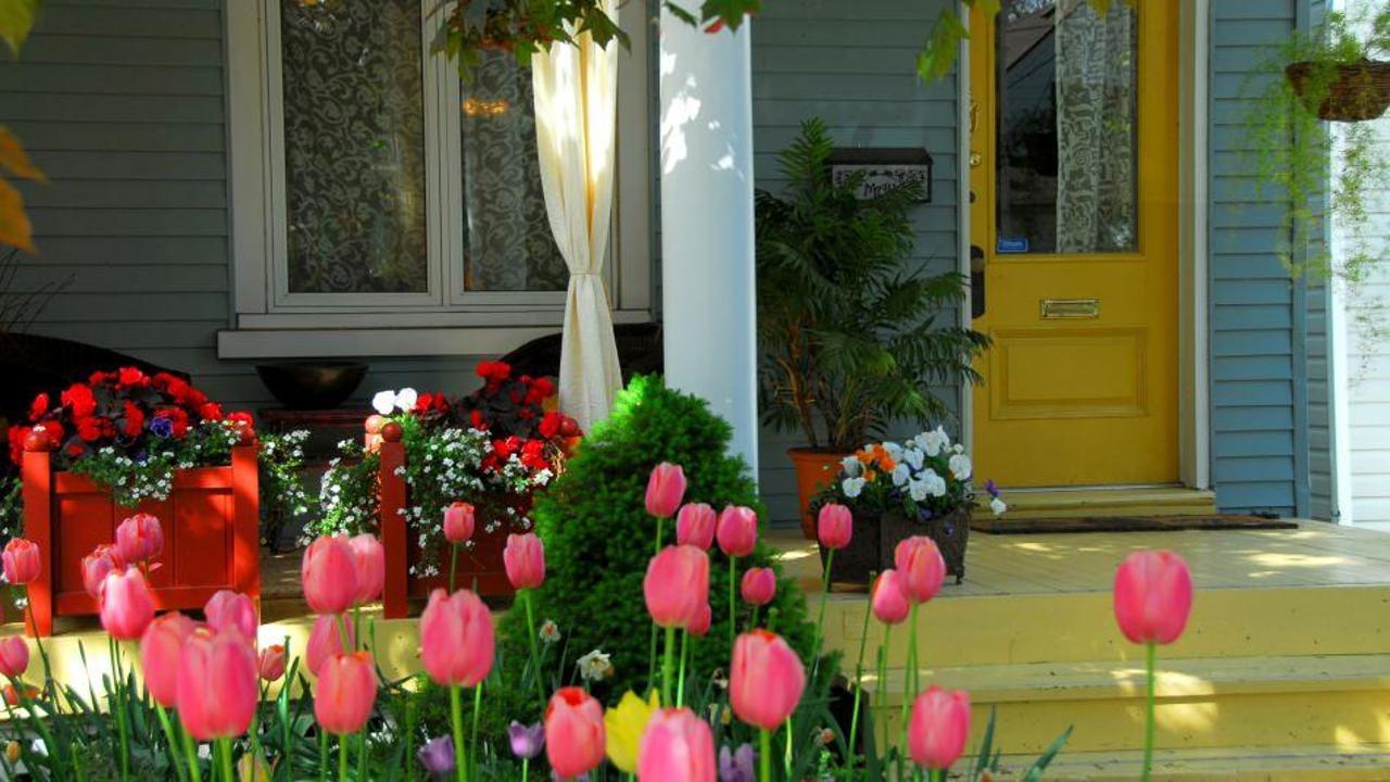 Nisan ayı bah&ccedil;e ve &ccedil;im bakımı