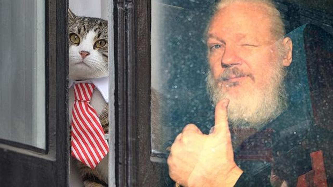 Assange tutuklandı, peki ya James? Herkes onu konuşuyor