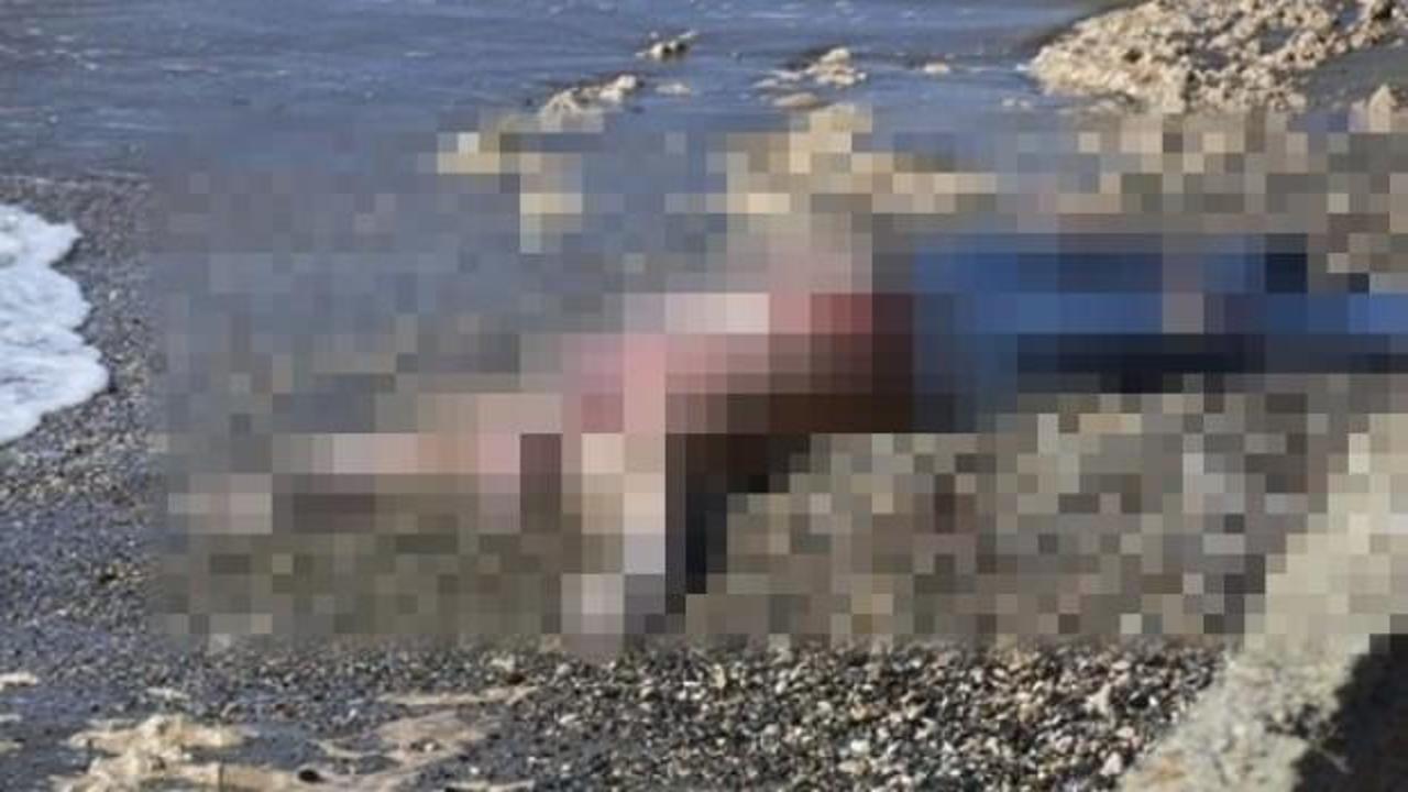 Hatay'da sahilde cansız beden bulundu