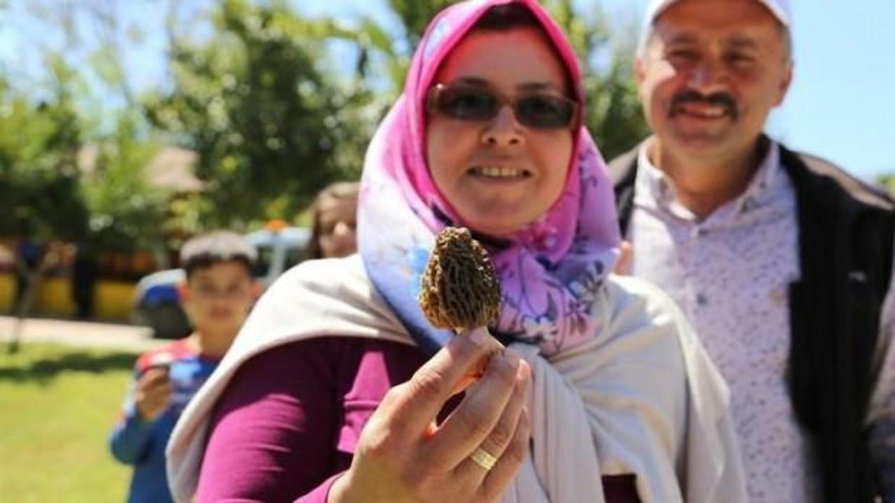 Fiyatı altını solladı! Kurusu bin TL'den alıcı buluyor