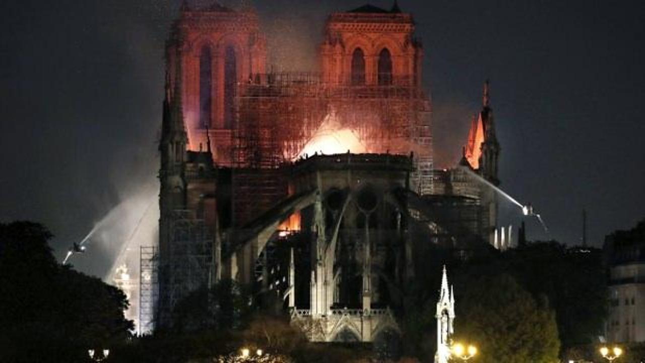Notre Dame mucizesi: 200 bin arı yangından sağ çıktı!