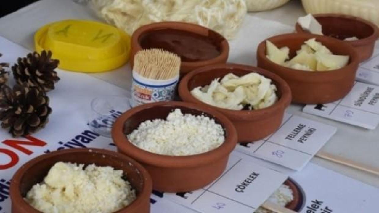 Peynir üreticileri festivalde buluştu