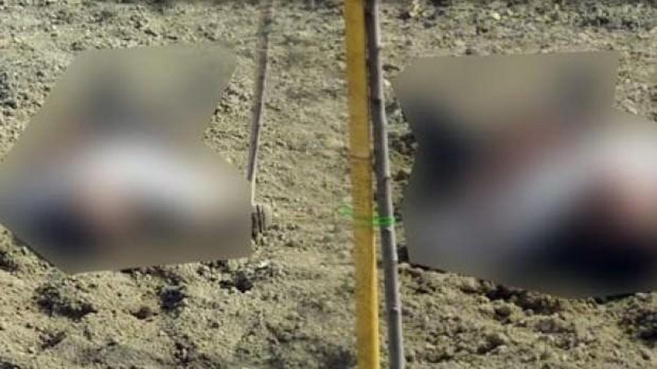 Bah&ccedil;eye gittiklerinde şoka girdiler! Başının &ouml;n ve arka kısmı...