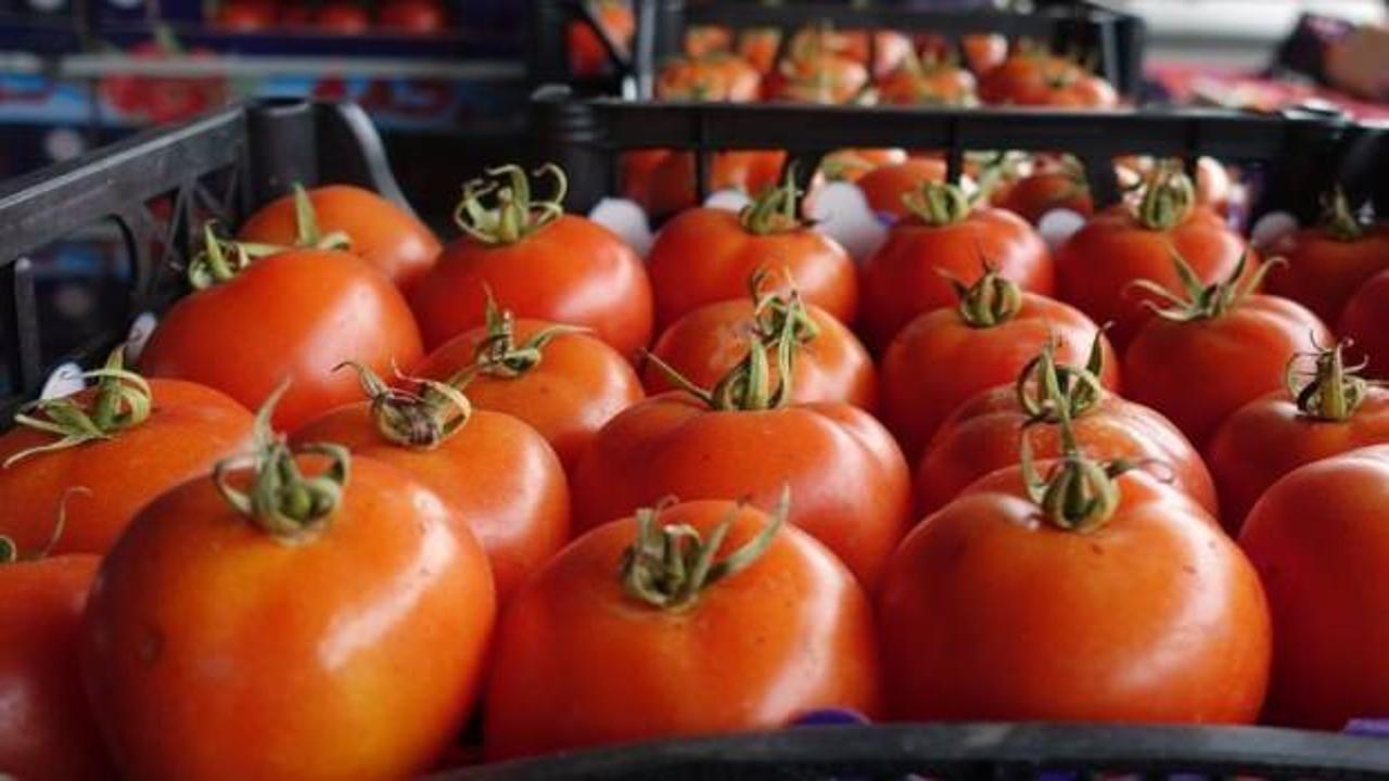 Rusya'ya yapılan domates ihracatı hakkında duyuru