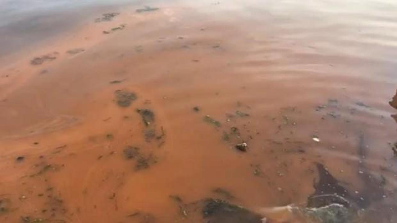 Deniz turuncu renge b&uuml;r&uuml;nd&uuml;! Bakın nedeni neymiş?