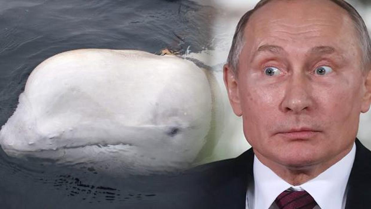 Putin dünyayı şoka uğrattı! Fena yakalandı