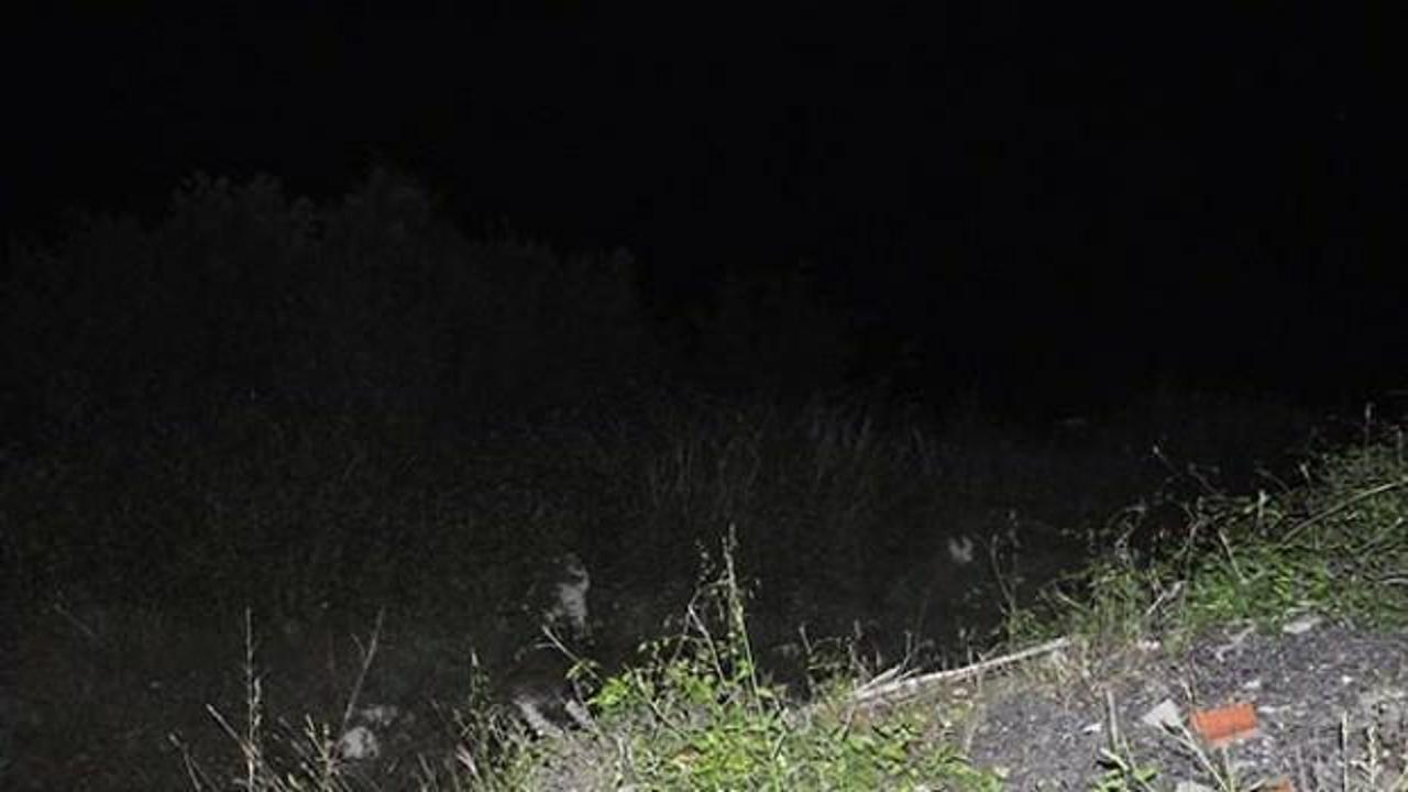 Her şey bir anda oldu! Kayalıklarda oturan gen&ccedil; kız...