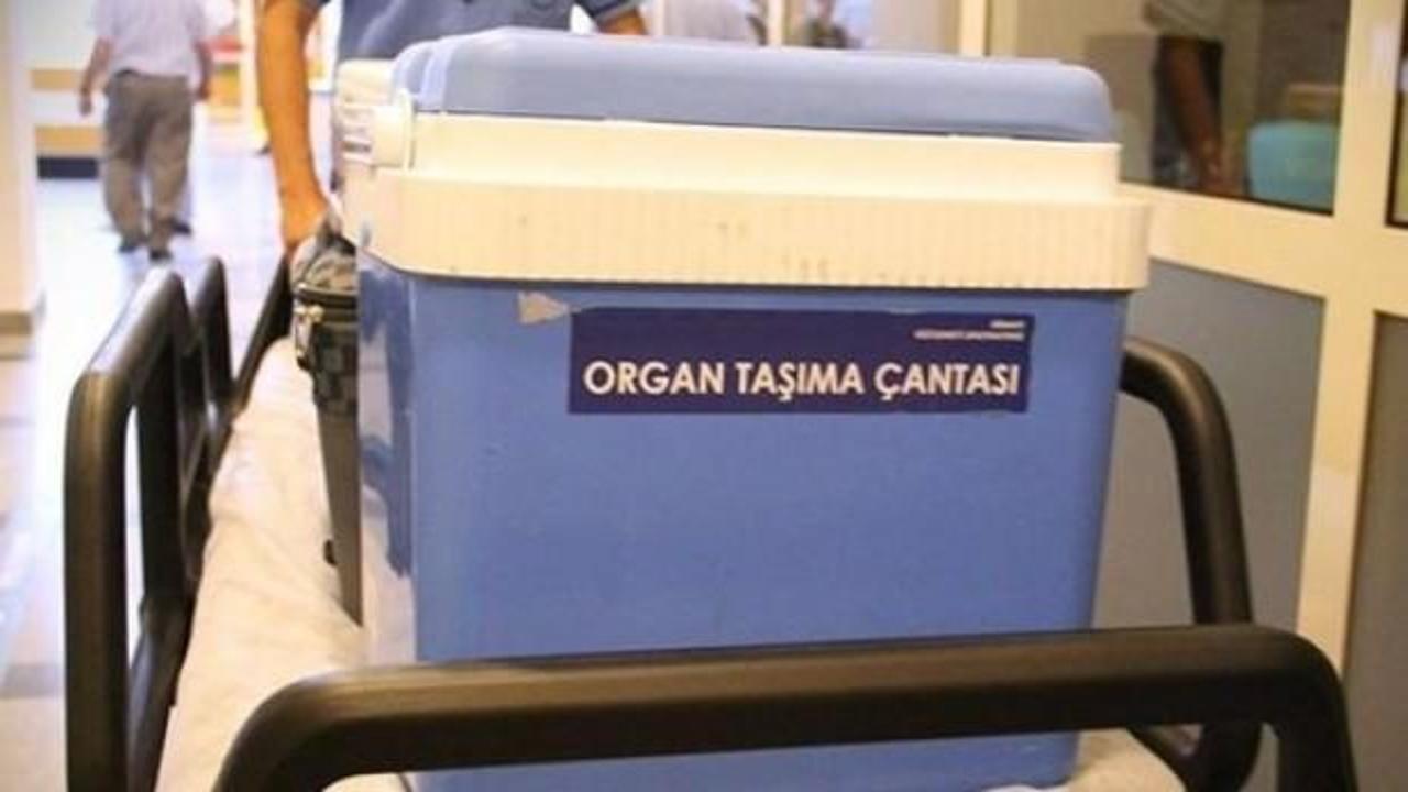 İngiliz turist organlarıyla hayat verdi...