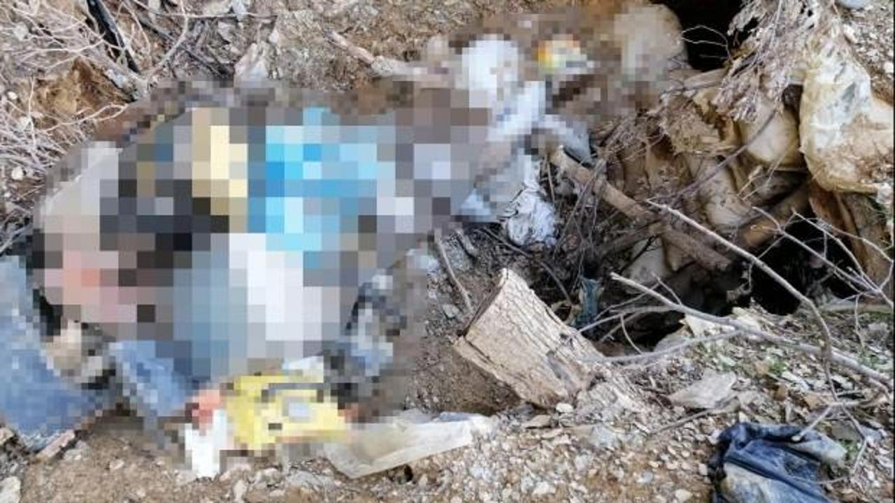 PKK'ya b&uuml;y&uuml;k darbe! İkisi &uuml;st d&uuml;zey...