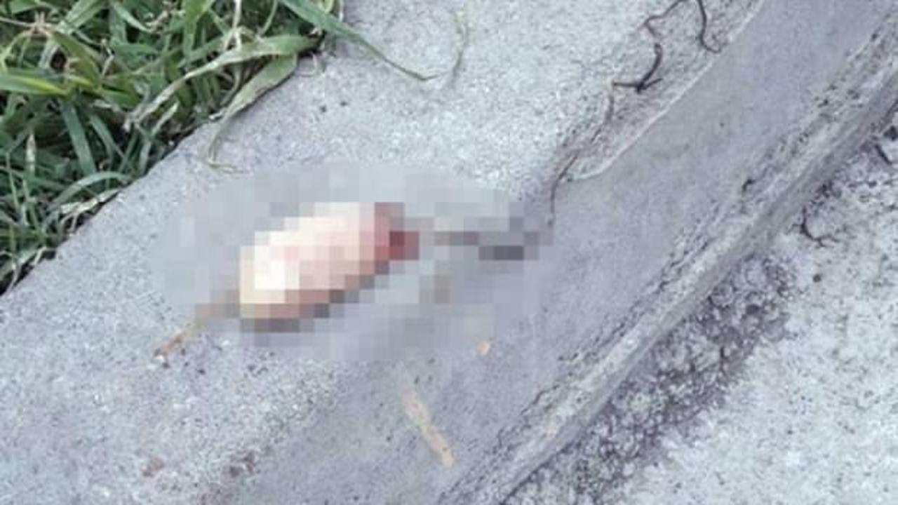 Sokak ortasında dehşete d&uuml;ş&uuml;ren g&ouml;r&uuml;nt&uuml;!