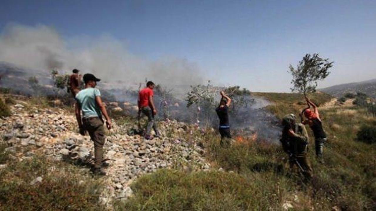 Yahudi yerleşimciler Filistinlilerin arazilerini ateşe verdi