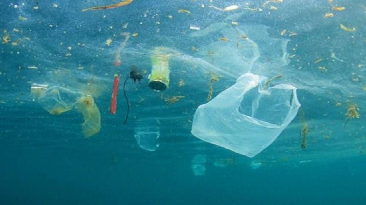 Bir yılda 50 bin parça plastik yiyoruz!