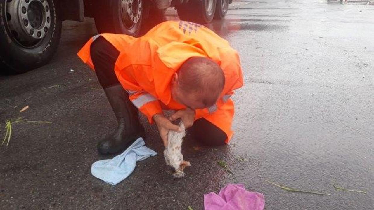 Pendik'te boğulan yavru kediyi suni solunumla hayata döndürdü