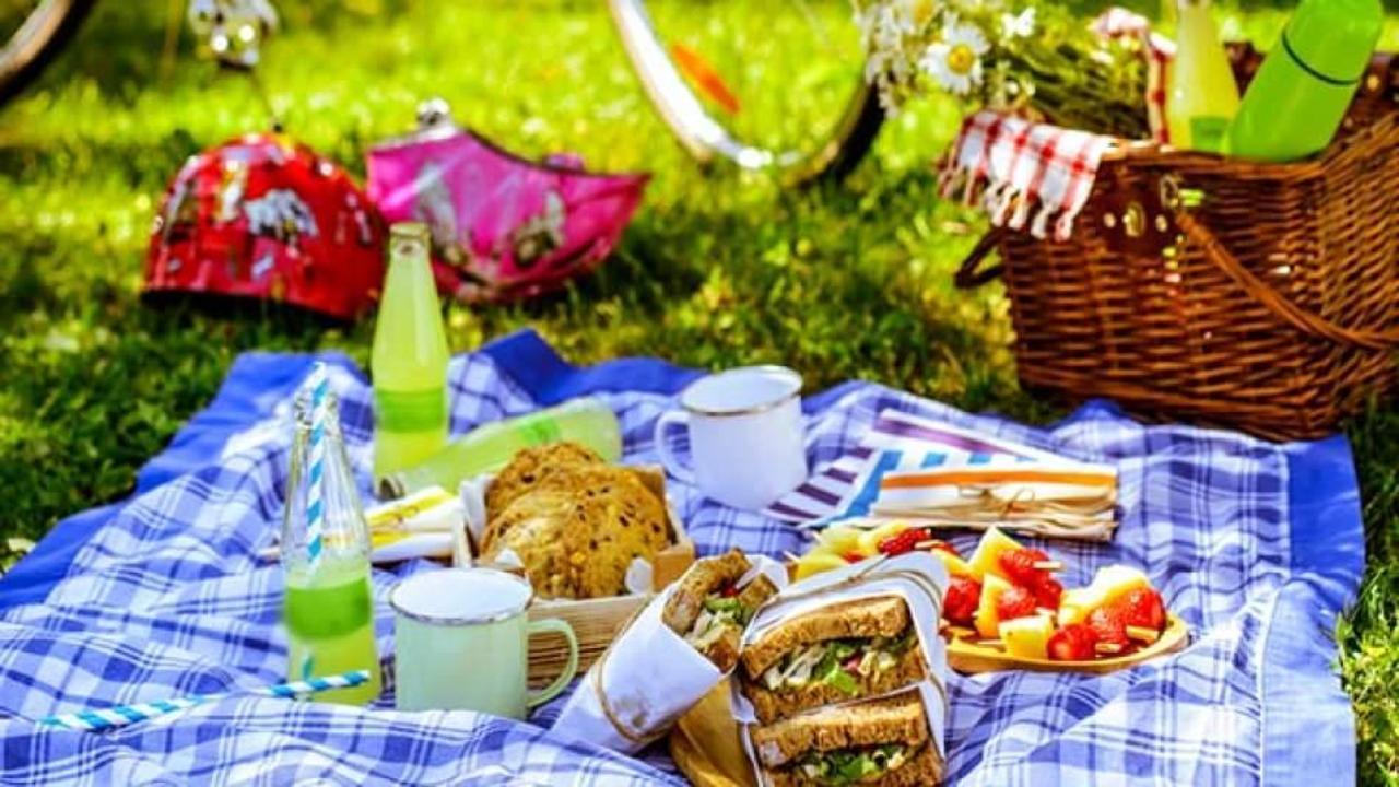 Bursa'da piknik yapmak ve balık tutmak yasaklandı