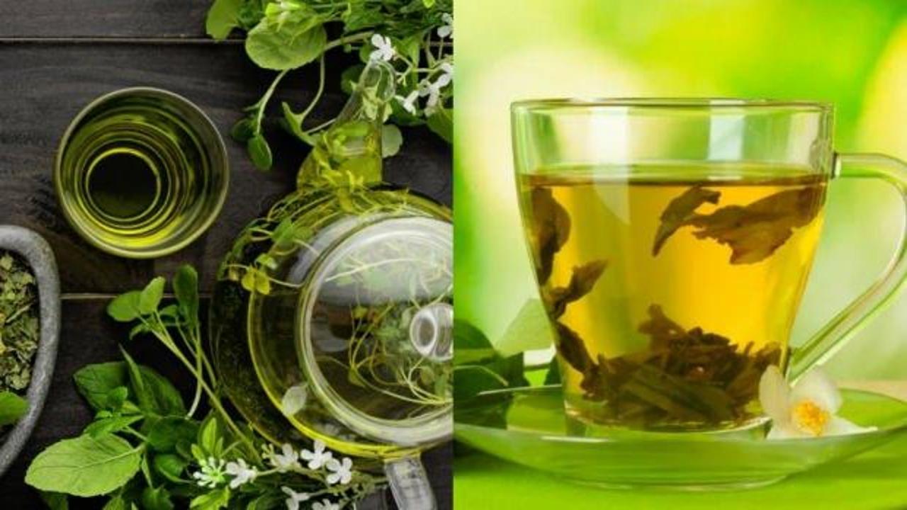 Yeşil çayın faydaları, yeşil çay nasıl kullanılır? Zararları nelerdir?