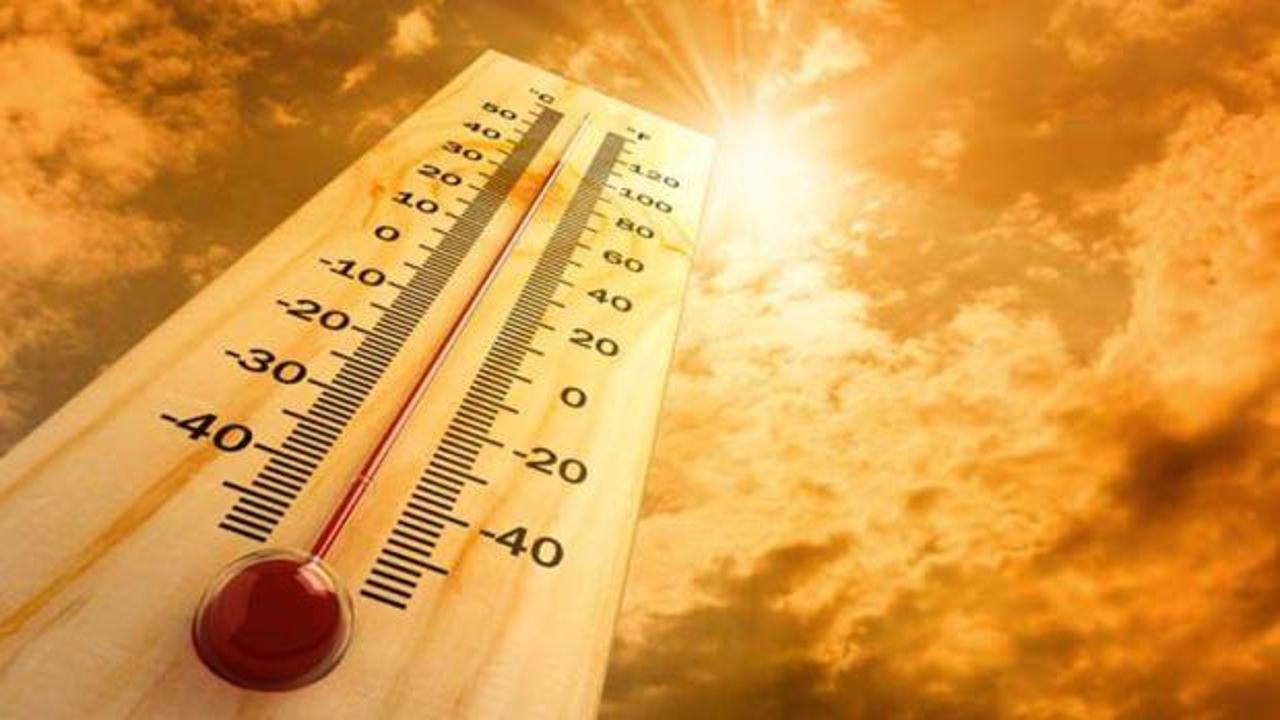 Ülke şokta! Sıcak hava nedeniyle 40 kişi öldü