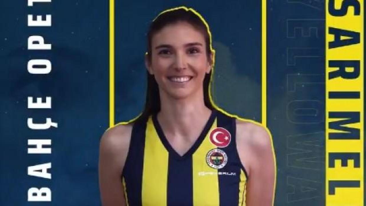 Fenerbahçe'den 4 imza birden!