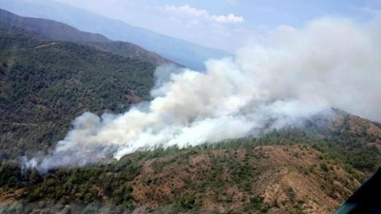 Marmaris'te yangın: Havadan ve karadan müdahale ediliyor