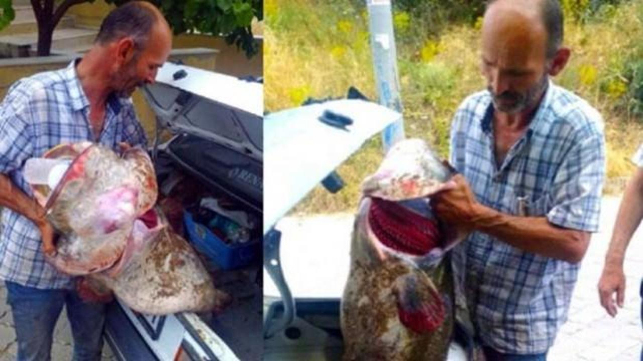 Oltayla yakaladı... Tam 2 metre!