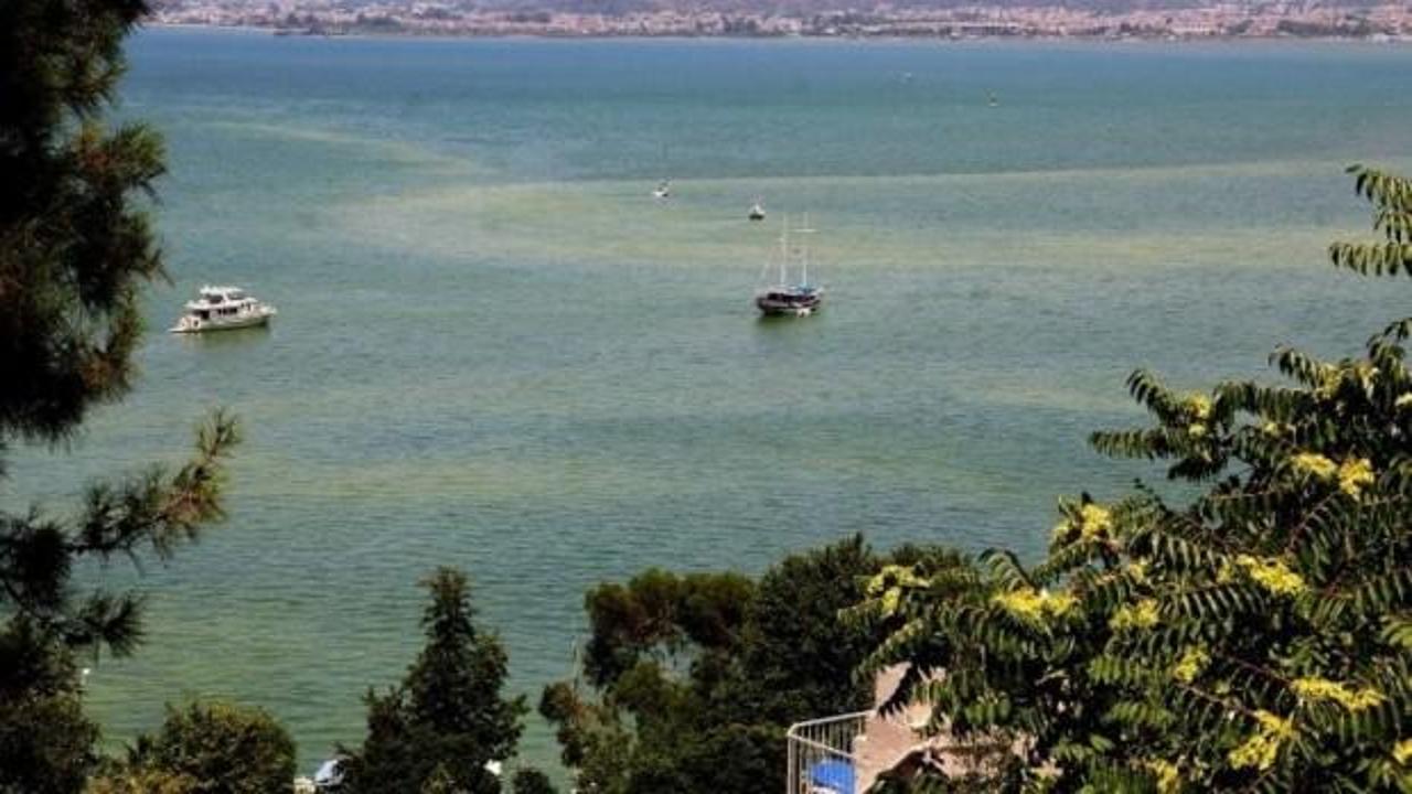 Fethiye'de korkutan gelişme: Suyun rengi değişti
