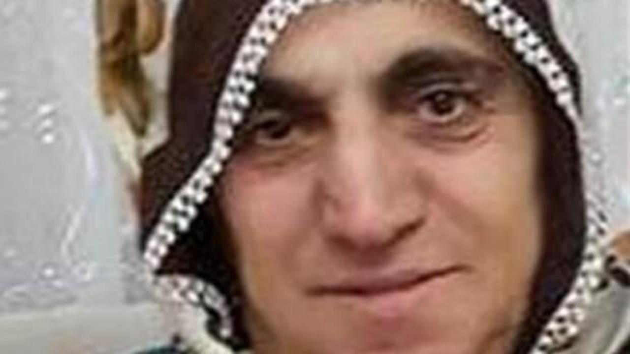 Trabzon'da arının soktuğu kadın hayatını kaybetti