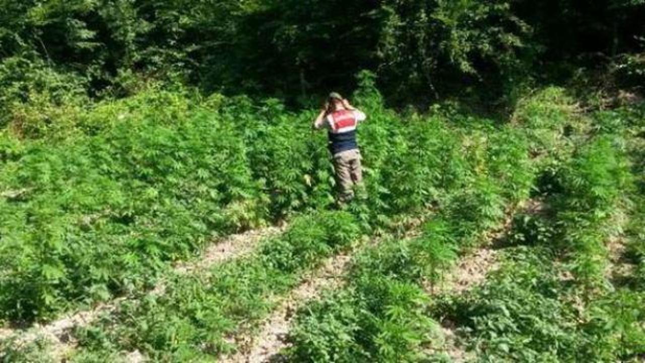 Son yılların en b&uuml;y&uuml;k operasyonu! 5 milyon 430 bin adet ele ge&ccedil;irildi
