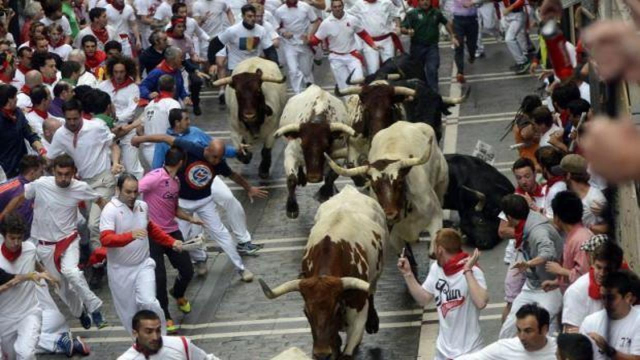 İspanya'da Boğa Festivali başladı! İlk günden 3 kişi öldü