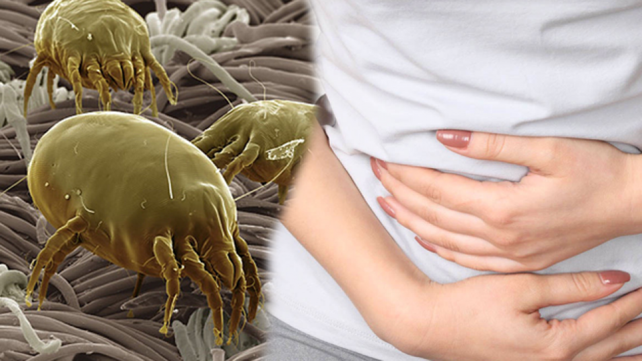 Vücudun en kirli yeri neresi ve nasıl temizlenir? Parazitlerin neden olduğu hastalıklar nelerdir? 