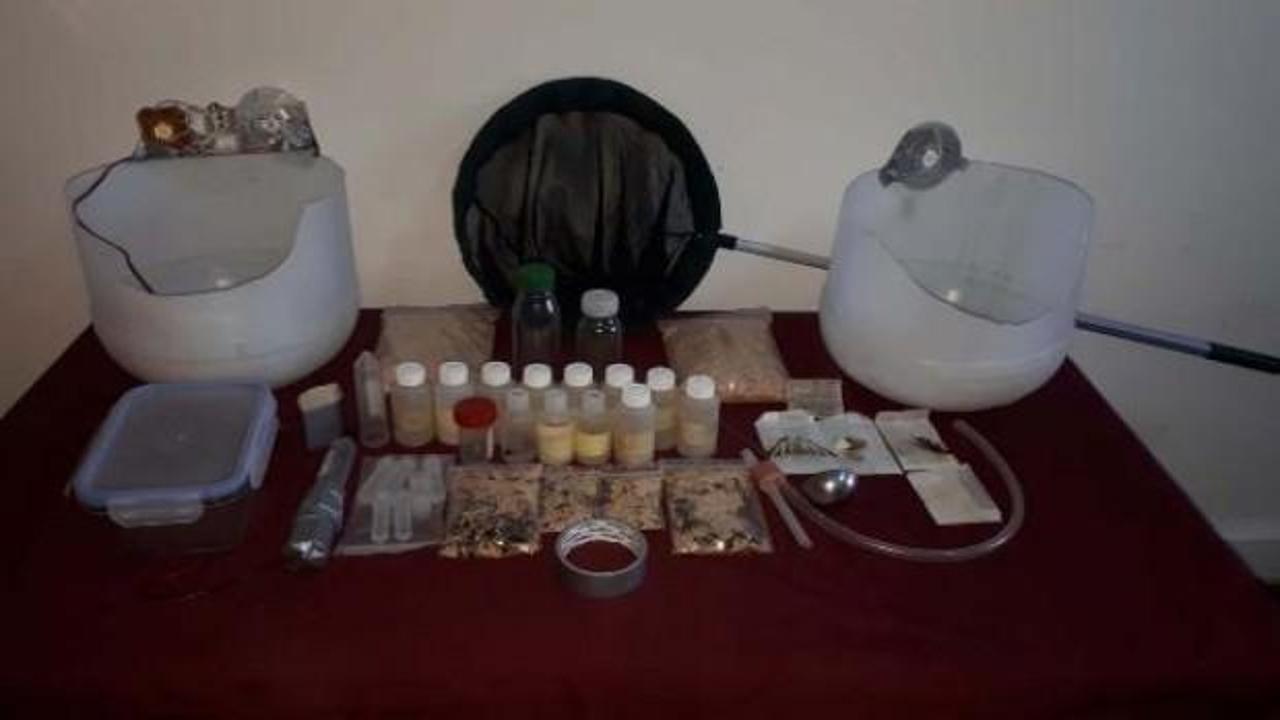 Yurt dışına b&ouml;cek ve kelebek ka&ccedil;ırmaya &ccedil;alışan profes&ouml;rler yakalandı