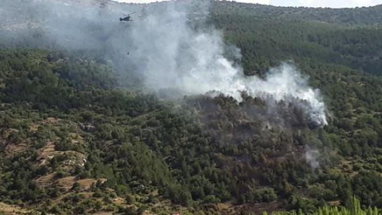 Afyonkarahisar'da orman yangını