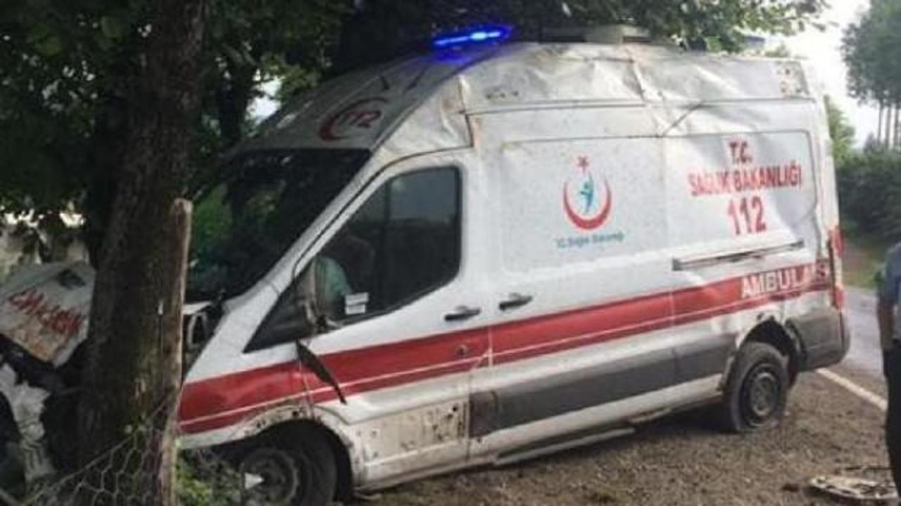 Ambulans, yol kenarındaki ağaçlara çarptı: 5 yaralı
