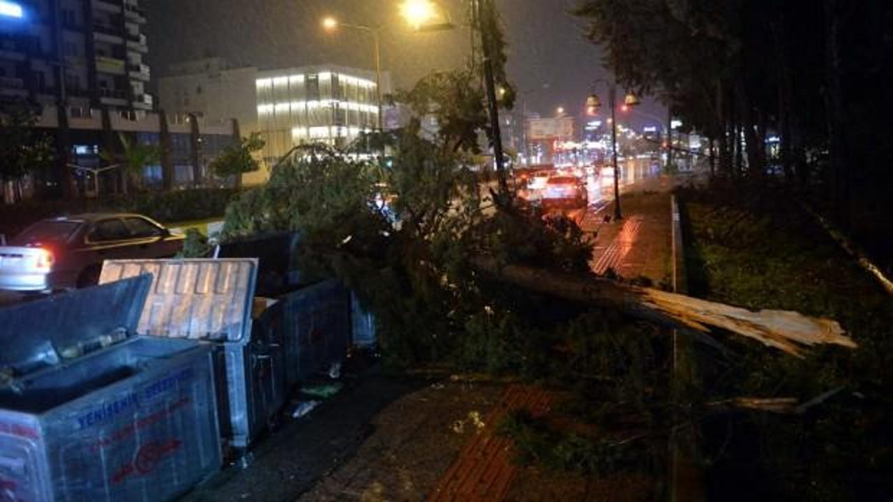 Çanakkale'yi fırtına vurdu: Çatılar uçtu, ağaçlar devrildi
