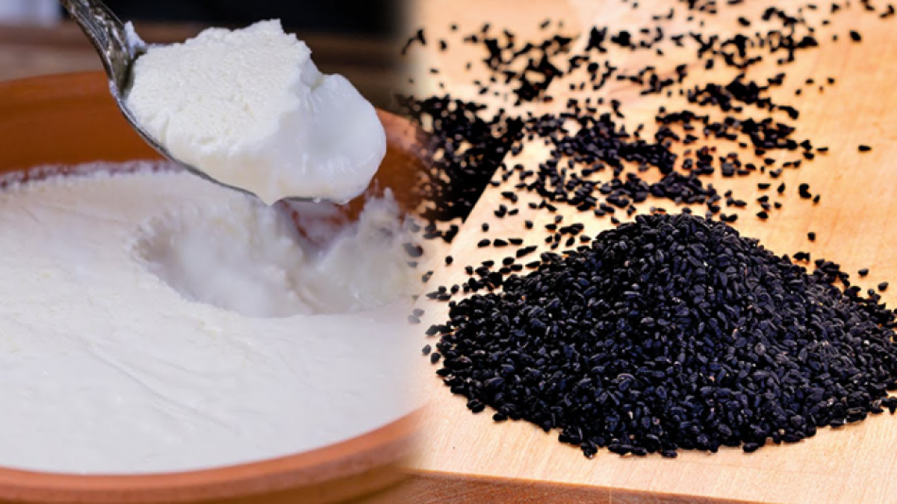 Çörek otu ve yoğurt ile nasıl zayıflanır? Çörek otunu yoğurtla yerseniz...