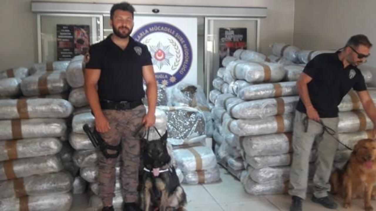 Muğla'da dev operasyon: Değeri tam 50 milyon TL