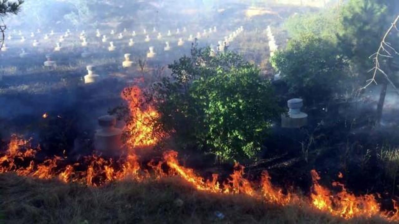 Pakdemirli'den orman yangınları ile ilgili son dakika açıklaması
