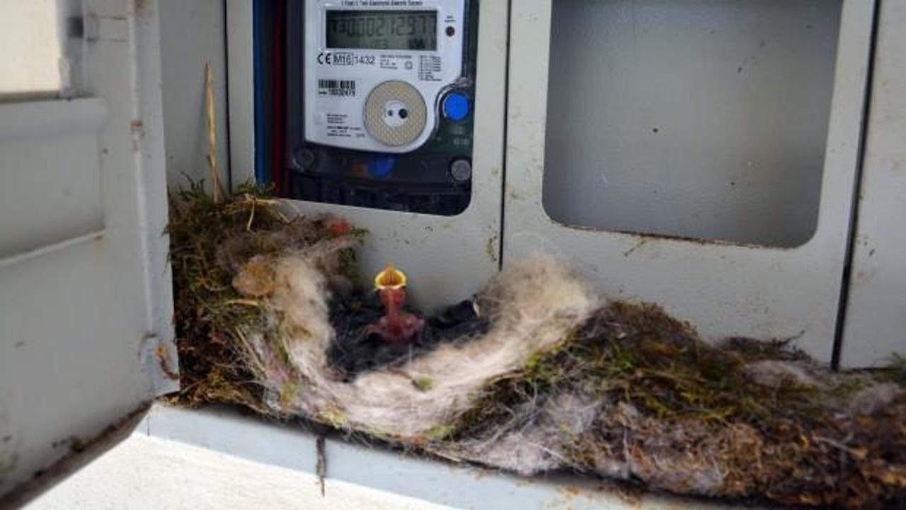 Elektrik saatinde s&uuml;rpriz: Onlar i&ccedil;in elektriği a&ccedil;mıyor