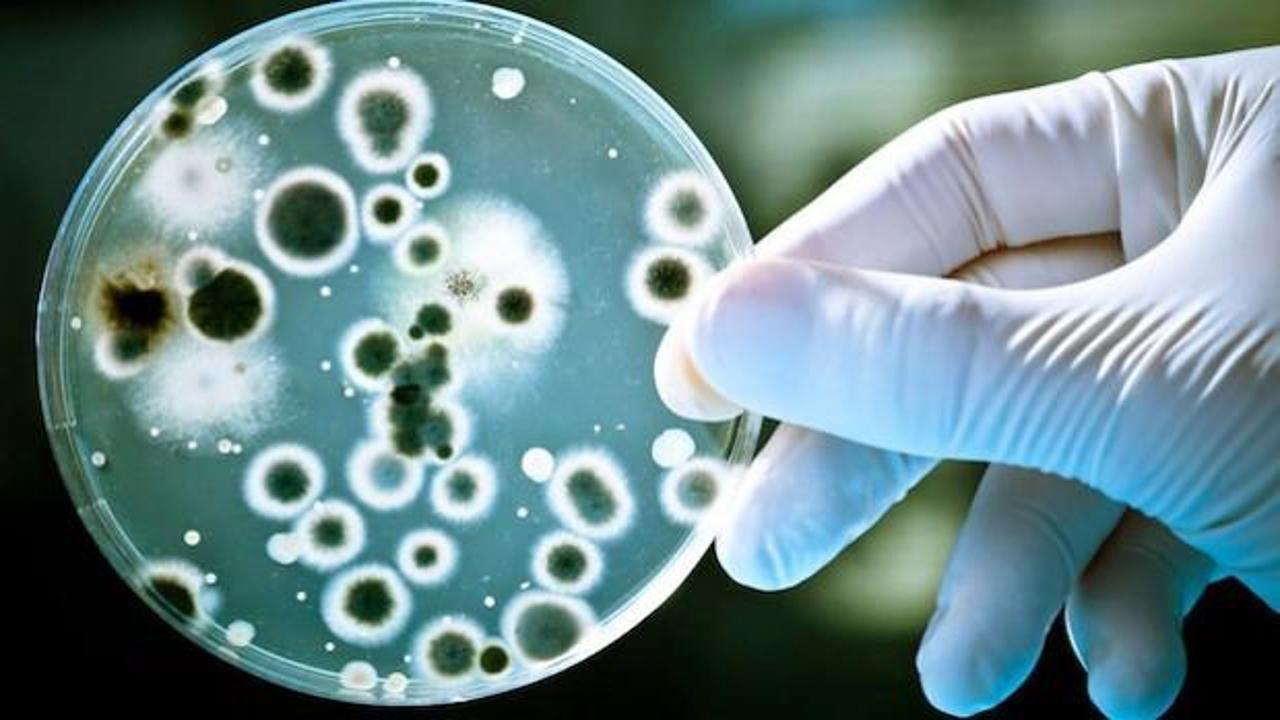 Antibiyotiğe dirençli bakteri Avrupa'yı alarma geçirdi