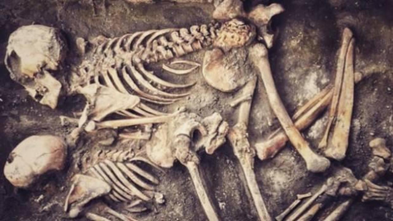 Eskişehir'de 5 bin yıllık iskeletler bulundu