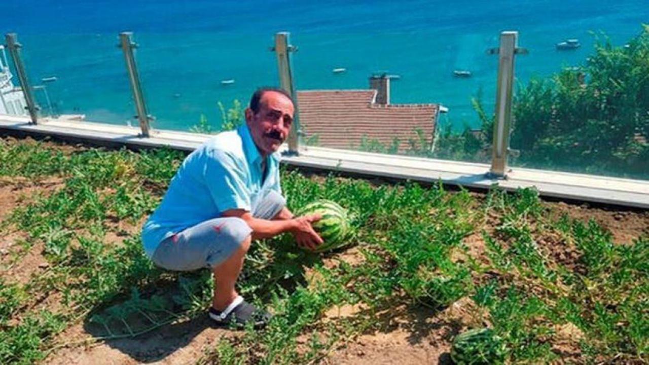 Mustafa Keser karpuz yetiştiriyor!