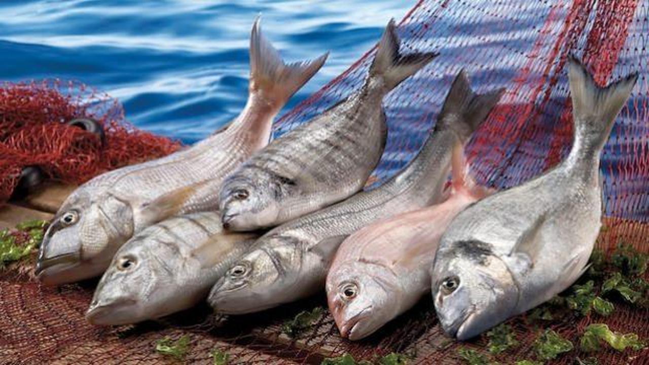 Balık üreticilerine iki önemli destek