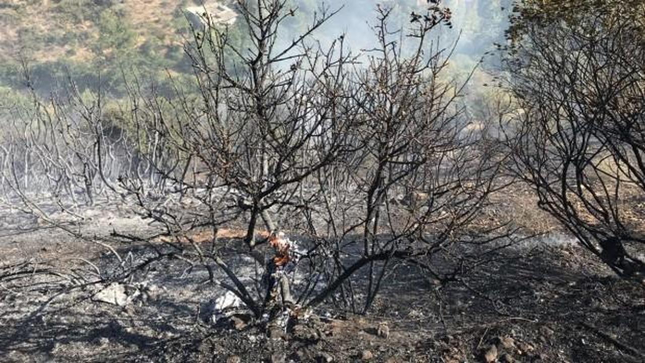 Kahramanmaraş'ta yangın: Havadan ve karadan müdahale ediliyor