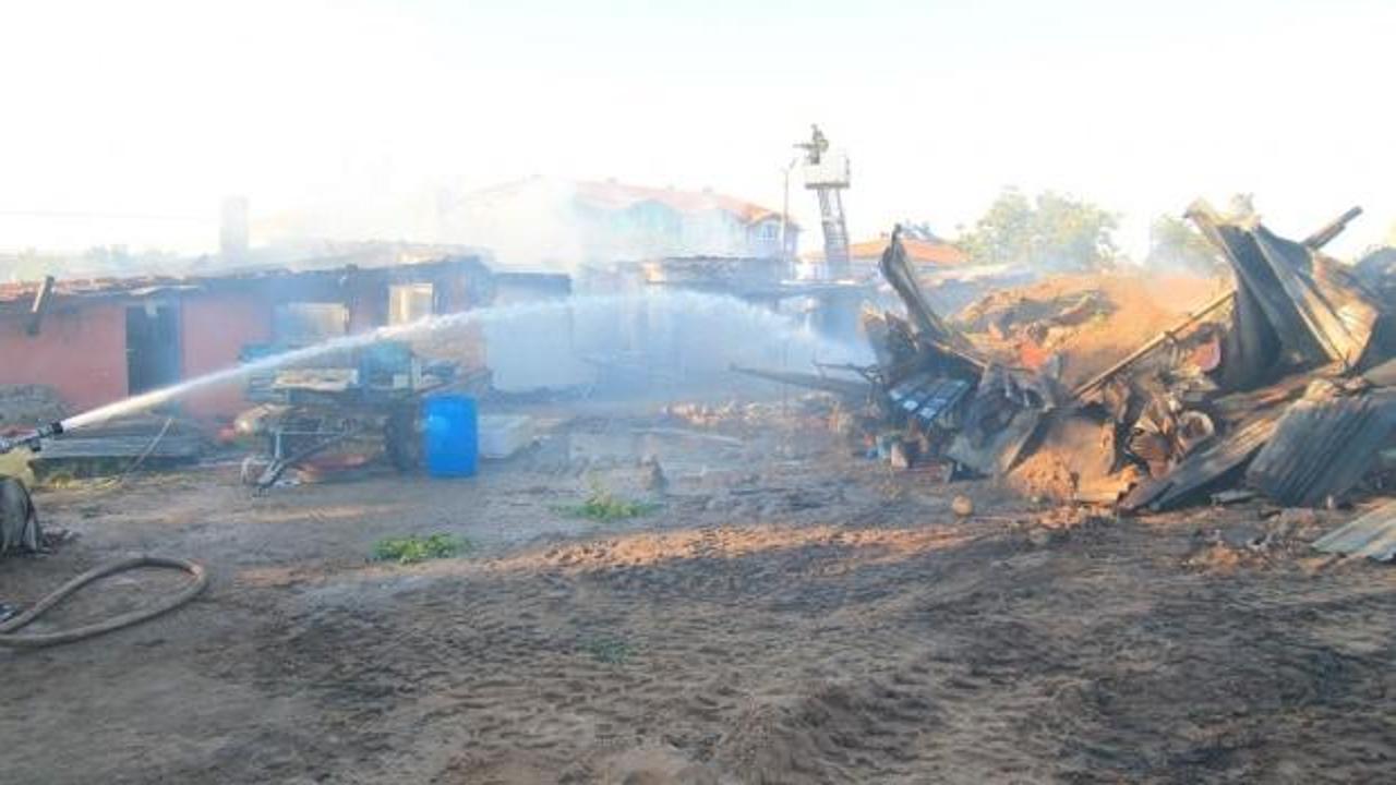 Edirne’de yangında 3 ev kül oldu